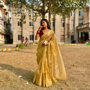 kanchi tissue zari saree with lace border