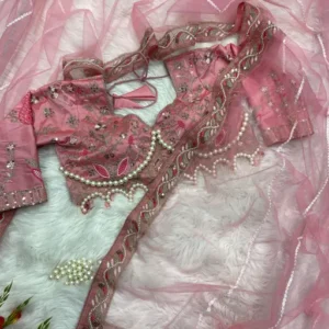 Handloom Saree Partywear ,Dori And Sequins Work With Heavy Hand Work Lace Border