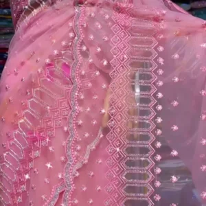 Trending Color Ombre Intricate Original Beads Work Sarees